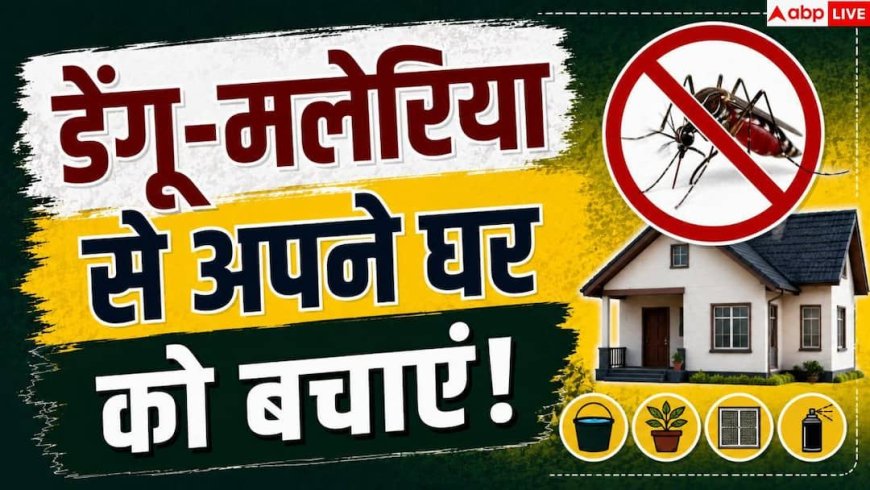 Mosquito Control Tips: बारिश में घर में बढ़ रहे हैं मच्छर-मक्खी, तुरंत अपनाएं ये उपाय