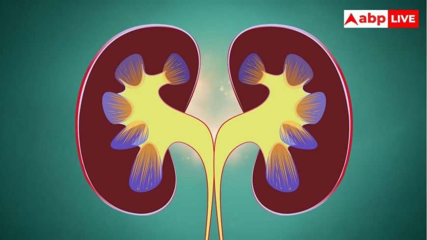  Kidney Health Tips:दिल नहीं किडनी का भी रखिए ख्याल, इन पांच आदतों को अपनाकर पाएं हेल्दी लाइफ