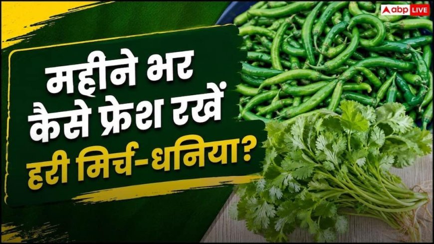 Store Green Chillies: हरी मिर्च-धनिया 1 महीने तक नहीं होंगे खराब, अपनाएं यह छोटी सी ट्रिक