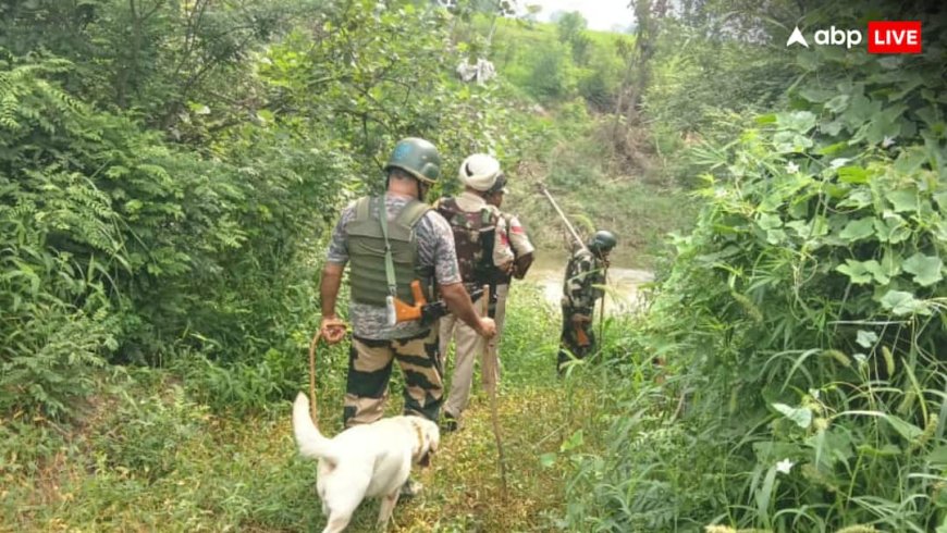 स्वतंत्रता दिवसः अलर्ट पर सुरक्षा एजेंसियां, पाकिस्तान से लगने वाली सीमा पर चलाया ऑपरेशन