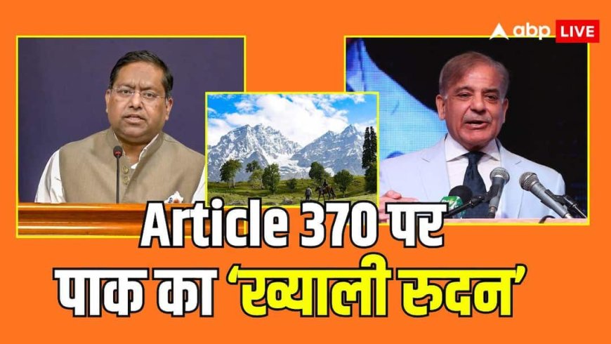 'पाकिस्तान कर रहा यौम-ए-इस्तेहसाल की नौटंकी',  भारत बोला- बंद करो प्रोपेगेंडा