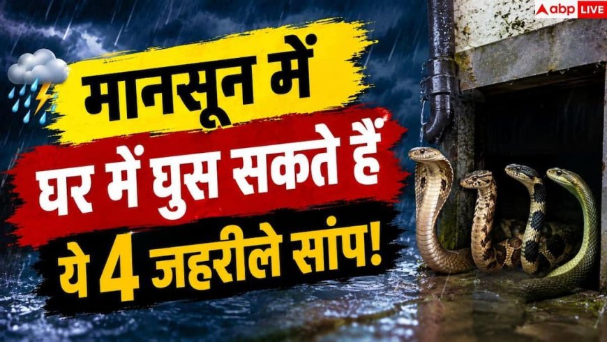 Snakes In Monsoon: मानसून में घर के पास क्यों आते हैं जहरीले सांप? जानें बचाव के तरीके