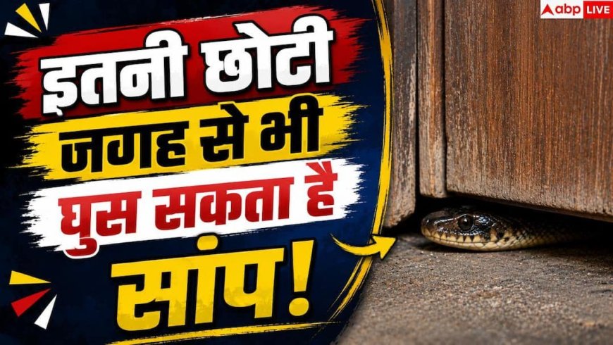 Snake Prevention: इतनी संकरी जगह से भी घर में घुस सकता है सांप! तुरंत करें ये काम
