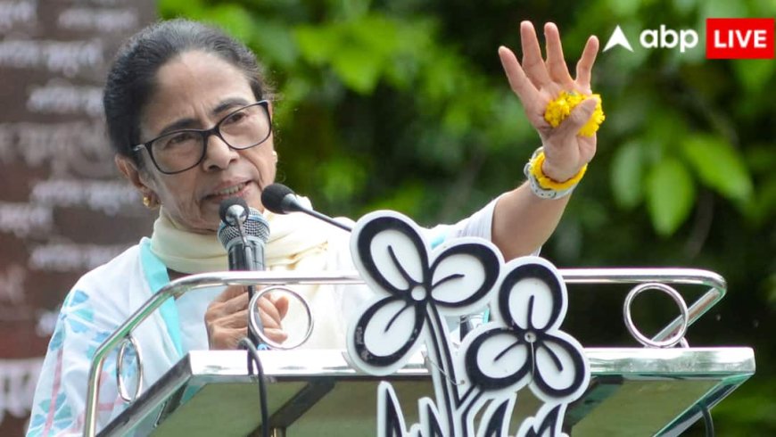 हमले को लेकर ममता बनर्जी का आया पहला रिएक्शन, कहा - 'मेरे सीने में...'