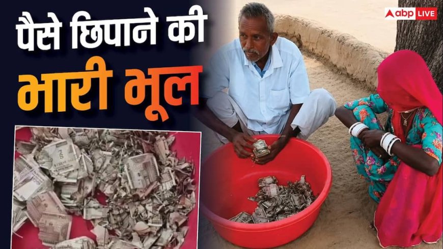 घरवालों से छिपाकर रखी मेहनत कमाई, सालभर में खा गए कीड़े; किसान को 5 लाख का नुकसान