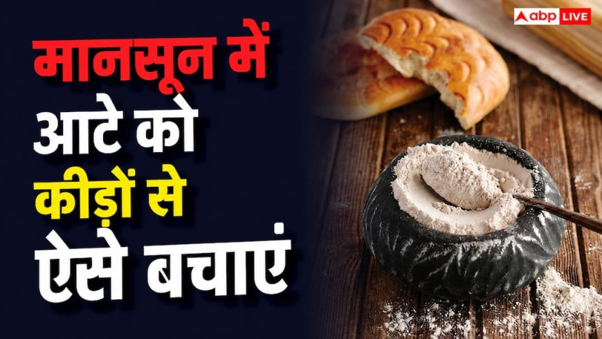 Wheat Flour Storage Tips in Monsoon:  मानसून में आटे में लग जाते हैं कीड़े, ऐसे करें स्टोर