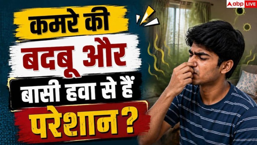 Room Freshness Tips: कमरे को दिनभर फ्रेश और सुगंधित कैसे रखें? जानें आसान घरेलू उपाय
