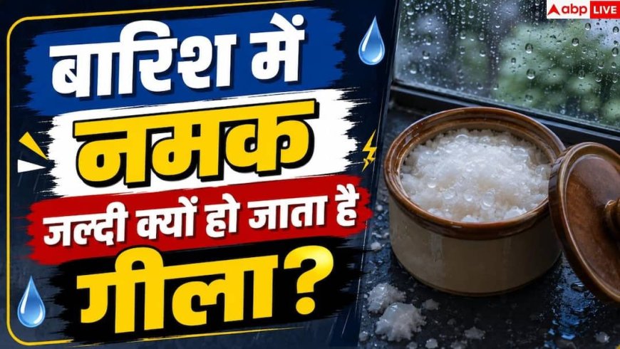 Why Salt Gets Wet In Monsoon: बरसात में नमक गीला हो जाता है, चीनी क्यों नहीं?