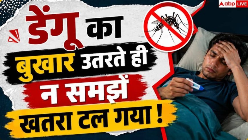 Dengue Fever: डेंगू का बुखार उतर गया तो न हों खुश! अगले 24-48 घंटे हैं अहम