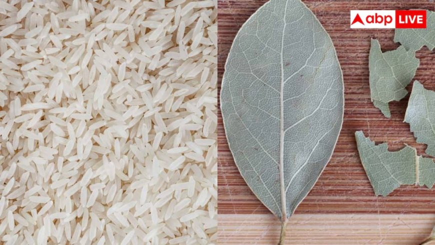 Keep Rice Away From Moisture:  चावल में नहीं पड़ेंगे कीड़े, बस डिब्बे में डाल दें ये एक चीज