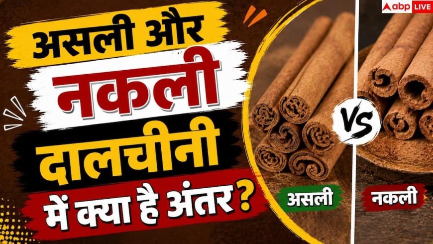 How To Identify Real Cinnamon: कैसे करें असली दालचीनी की पहचान, बड़े काम की है ये ट्रिक