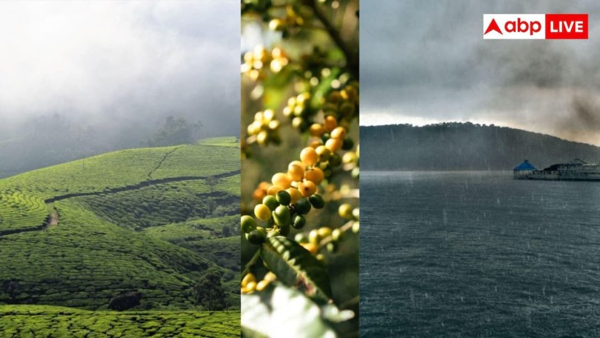 Monsoon Trip In India: मानसून में जन्नत बन जाते हैं भारत के ये पांच शहर, आज करें ट्रिप प्लान