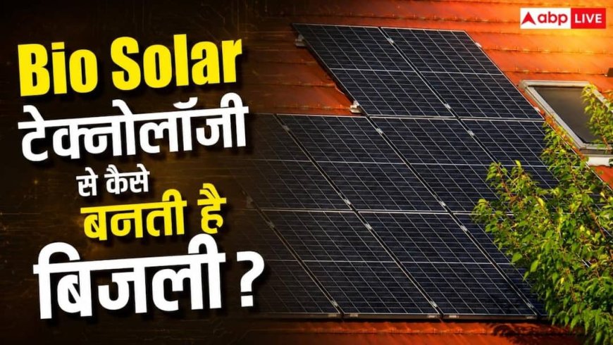 क्या है Bio Solar टेक्नोलॉजी? जानें कैसे इससे बढ़ जाती है सोलर पैनल की ताकत