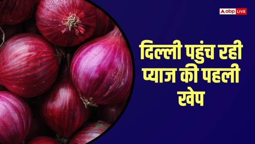 दिल्ली पहुंच रही 800 टन प्याज, 24 घंटे के भीतर 35 रुपए किलो मिलेगा 'कांदा'