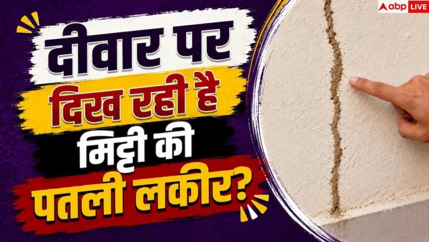 Termite Signs: सीलन है या दीमक का आतंक? दीवार से झड़ती मिट्टी से ऐसे पहचानें