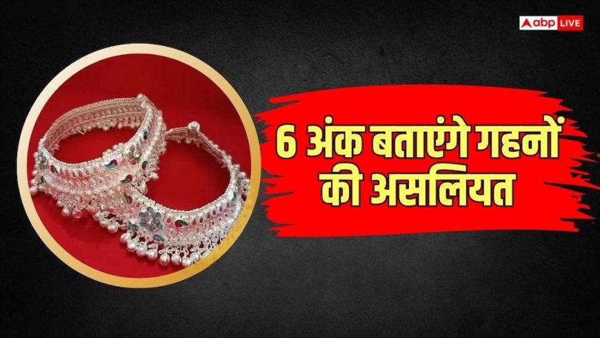 चांदी खरीदने का है प्लान, तो जान लीजिए असली और नकली में अंतर