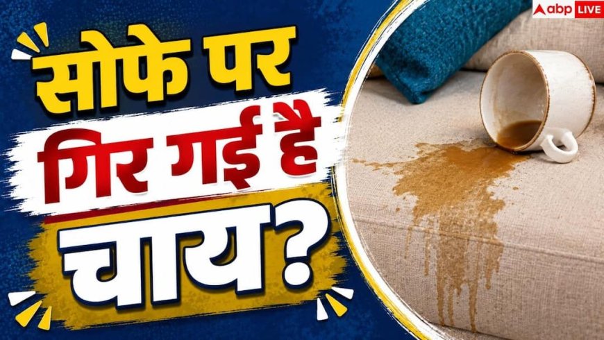 Sofa Cleaning Tips: सोफे पर चाय गिर जाए तो तुरंत क्या करें, पाउडर या पानी...क्या आएगा काम?