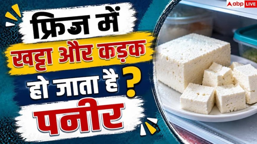 How To Store Paneer: पनीर फ्रिज में रखने से पहले करें ये 1 काम, हफ्तों रहेगा ताजा