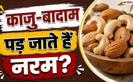 Dry Fruits Storage: काजू-बादाम पड़ जाते हैं नरम? 1 आसान ट्रिक से रहेंगे हमेशा क्रंची