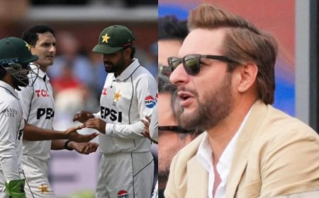 शाहिद अफरीदी ने PCB के फैसले को बताया बेतुका, कहा- टी20 खिलाड़ी टेस्ट खेलेंगे