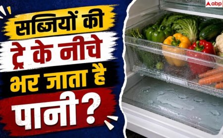 Fridge Water Leakage: फ्रिज में बार-बार जमा हो रहा है पानी? मैकेनिक बुलाने से पहले करें ये काम
