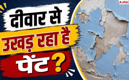 Causes Of Wall Dampness: छत नहीं टपक रही, फिर भी दीवार पर सीलन? 1 मिनट में पहचानें लीकेज की वजह