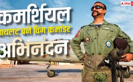 IAF छोड़ कमर्शियल पायलट बने अभिनंदन, जानें उनकी एजुकेशनल क्वालिफिकेशन