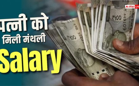 घर संभालने के लिए पत्नी को सैलरी, पति के फैसले से इंटरनेट पर तहलका