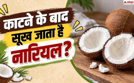 Coconut Storage Tips: काटा हुआ नारियल महीनों नहीं होगा खराब! जान लें स्टोर करने का तरीका