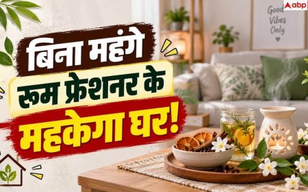 Musty Smell in Home: बारिश के बाद घर में सीलन की बदबू, जानें इसे दूर करने का तरीका