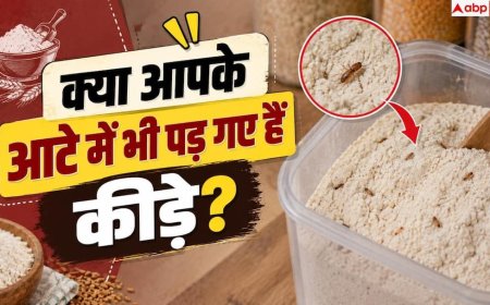 Flour Bugs: आटे में कीड़े और घुन से हैं परेशान? 1 ट्रिक से पाएं छुटकारा