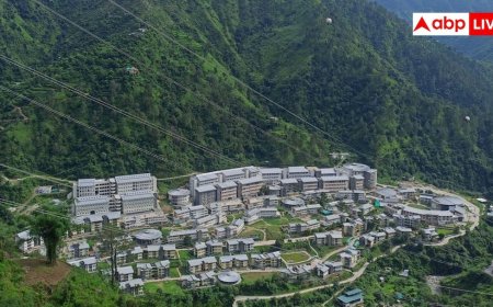 IIT Mandi में डायरेक्टर पद के लिए आवेदन शुरू, इतनी योग्यता जरूरी