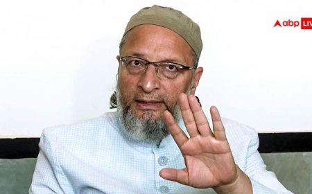 ओवैसी ने SIR पर उठाए सवाल, कहा - '6 से ज्यादा बच्चों वाले वोटरों को...'