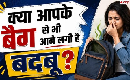 Bag Cleaning Tips: स्कूल या ऑफिस बैग अंदर से क्यों होता है गंदा? ऐसे करें डीप क्लीन