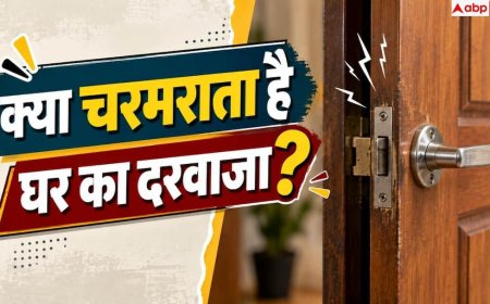 Squeaky Door: दरवाजे से आ रही चर्र-चर्र की आवाज, बढ़ई बुलाए बिना करें ठीक