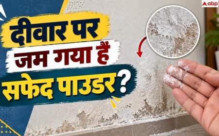 White Powder On Walls: दीवार पर जम गया है सफेद पाउडर? तुरंत जान लें सीलन की असली वजह