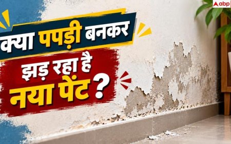 Wall Paint: पेंट फूलकर पपड़ी बनकर गिर रहा है? तुरंत अपनाएं ये उपाय