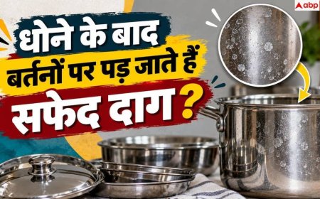 Stainless Steel: बर्तन सूखते ही क्यों पड़ जाते हैं सफेद निशान? 2 मिनट में ऐसे चमकाएं