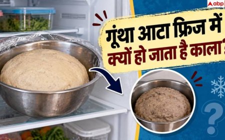 Atta Dough: फ्रिज में आटा काला पड़ क्यों हो जाता है, जानें फ्रेश रखने का सही तरीका