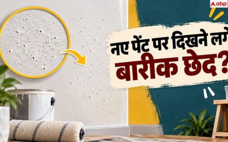 Wall Paint: दीवार के नए पेंट पर दिखने लगे छोटे छेद? अपनाएं ये 3 उपाय