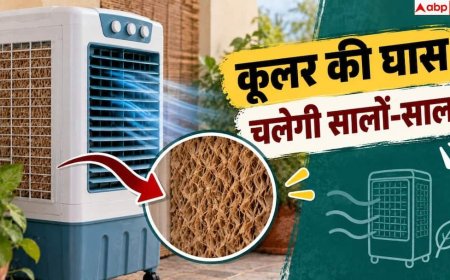Cooler Grass Cleaning Tips: इन आसान तरीकों से बढ़ जाएगी कूलर की घास की लाइफ, कर लें ये काम