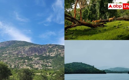दिल्ली के पास मौजूद है ऐसी जगह, पहाड़-झील और जंगल यहां तीनों मिलेंगे