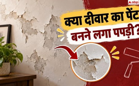 Home Waterproofing: छत की वाटरप्रूफिंग हो गई कमजोर? 1 मिनट में ऐसे पहचानें दरारें