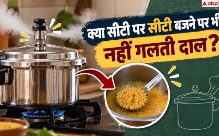 Dal Cooking Tips: कुकर में दाल जल्दी कैसे गलाएं? नोट करें 2 मिनट का सीक्रेट हैक
