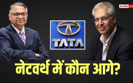 नोएल टाटा और एन चंद्रशेखरन की कमाई का पूरा सच, किसकी कितनी है सैलरी?