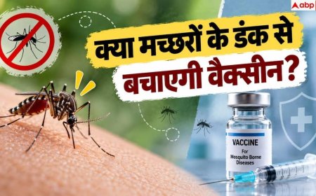 Dengue Vaccine: 2027 तक आएगी भारत की पहली डेंगू वैक्सीन, जानें यह कितनी असरदार?