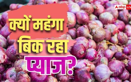 सरपट भाग रही 'कांदा एक्सप्रेस', फिर क्यों नहीं थम रहे प्याज के दाम; कब होगी सस्ती?