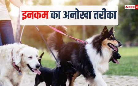 रोज 50000 रुपये का इनकम, वकालत छोड़ कुत्तों को घूमा रही लड़की