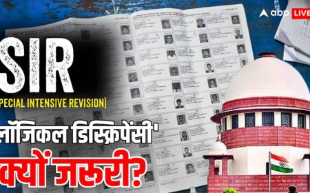 Explained: दिल्ली SIR में 'लॉजिकल डिस्क्रिपेंसी' क्या और कितने तरह की है? कैसे करें सामना