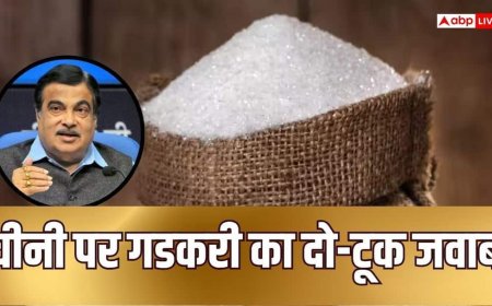 सरकार तय नहीं कर सकती चीनी का भाव, बढ़ती कीमतों पर बोले नितिन गडकरी